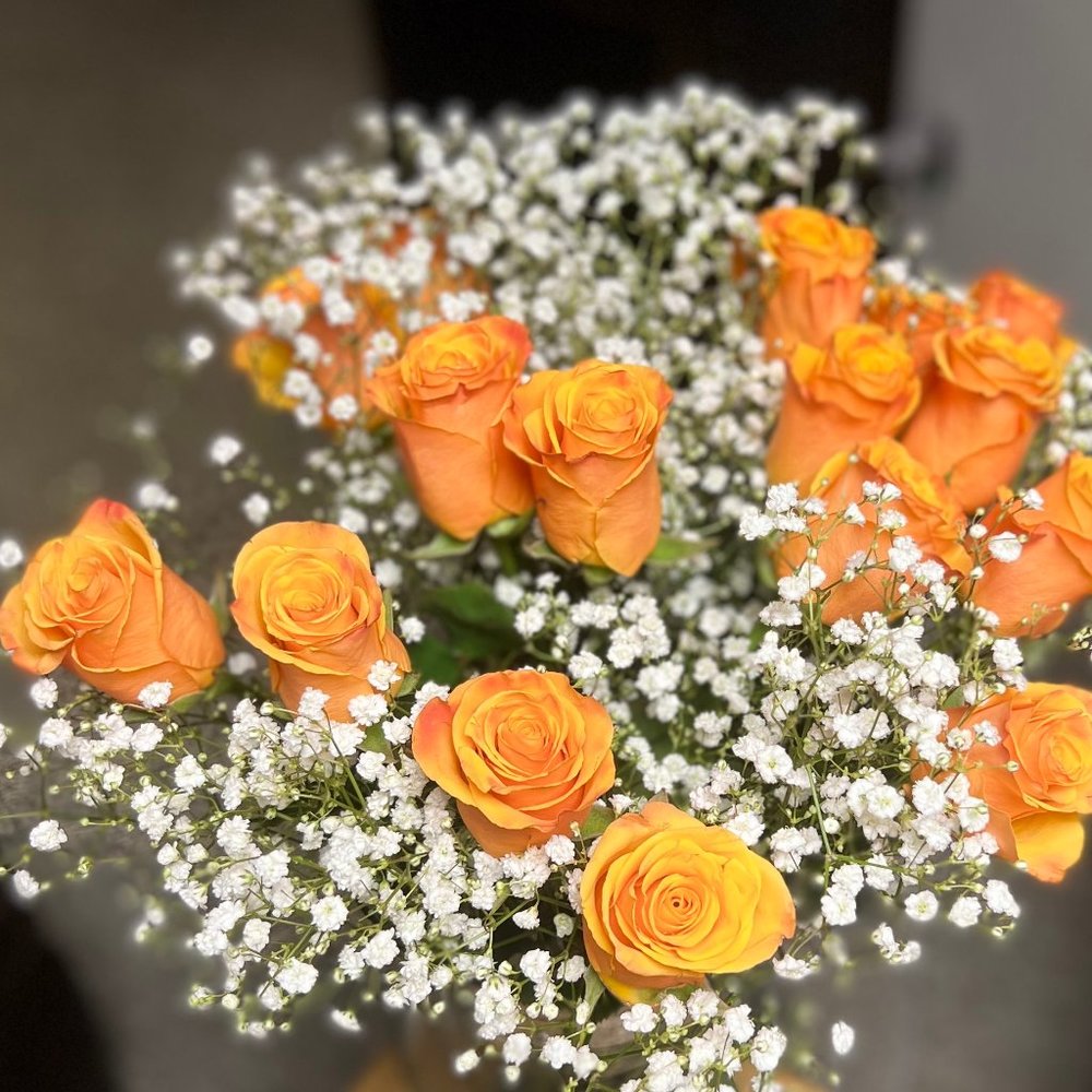 Meet your Posher, Pamela